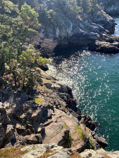 Vancouver: Lighthouse Park Hike - Tour Overview