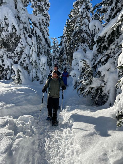 Vancouver: North Shore Mountains Snowshoeing With Transfer