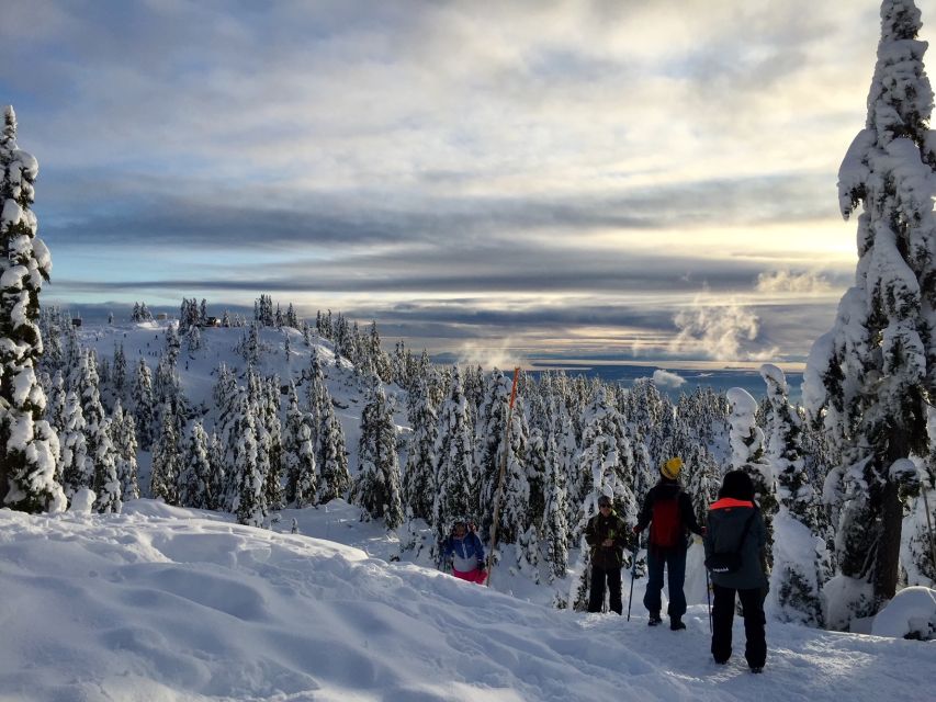 Vancouver: Panoramic View Hiking Tour