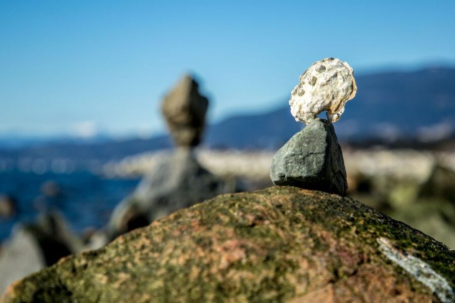 Vancouver: Private Cultural Tour With Pickup & Dimsum Lunch