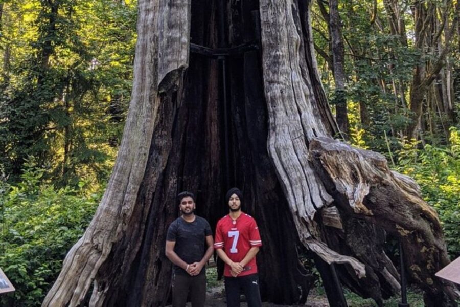 Vancouver With Stanley,Grouse Mountain&Capillano Suspension