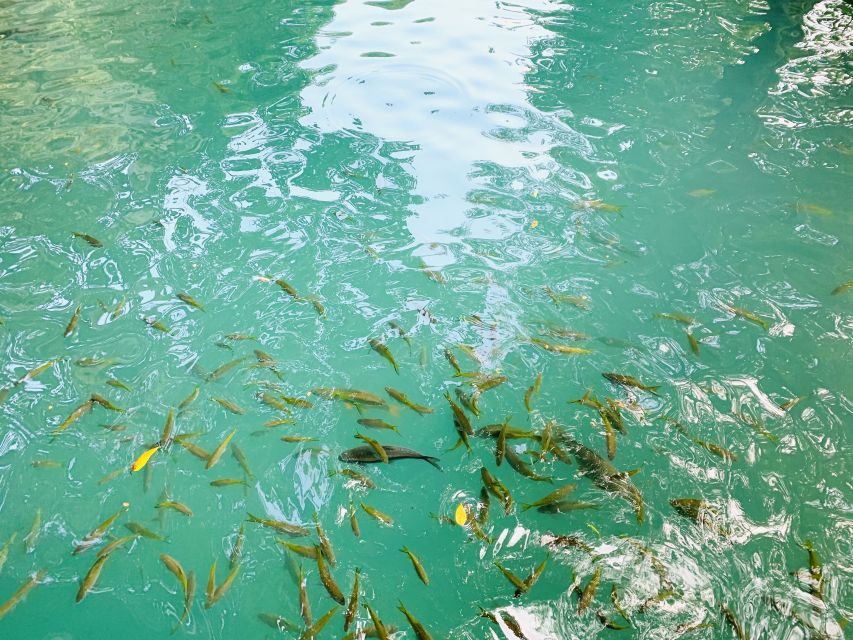 Vang Vieng: Blue Lagoon and Countryside Bike Tour With Lunch