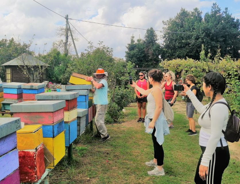 Venice: Bike Tour Honey & Artichockes on Sant'Erasmo Island - Tour Overview and Pricing