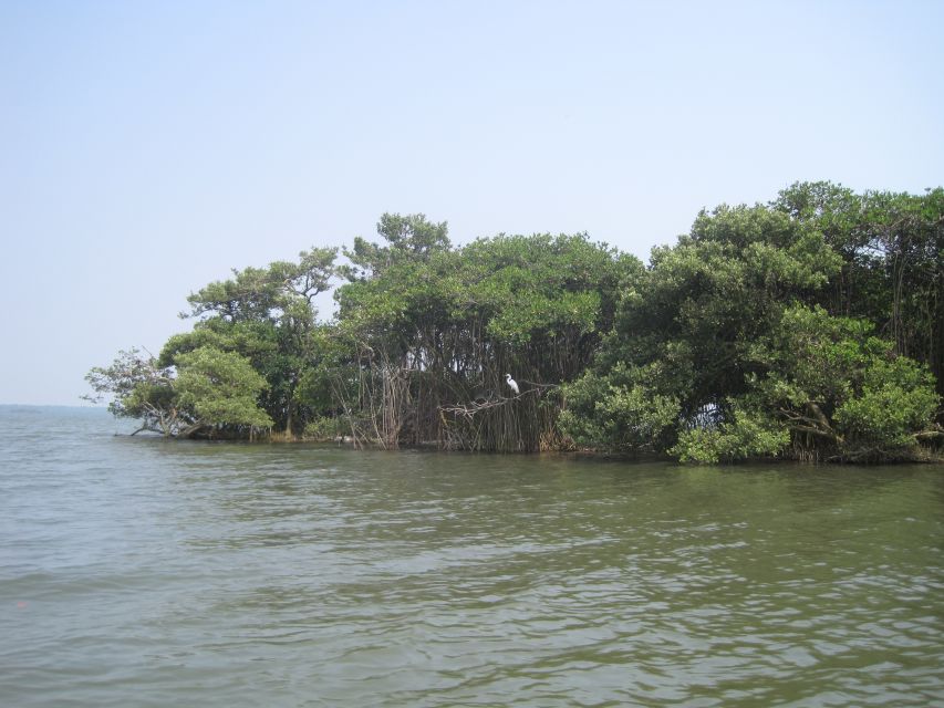 Veracruz: City Tour With Mandinga Boat Ride