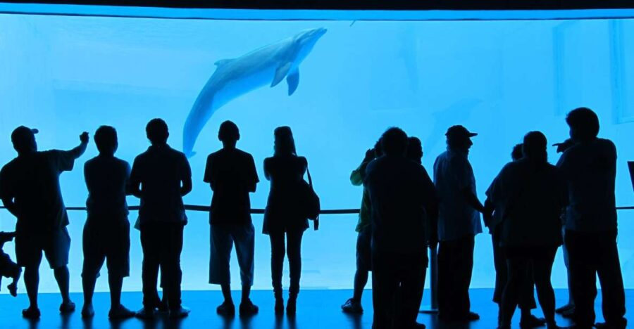 Veracruz: Panoramic Sightseeing City Tour and Aquarium