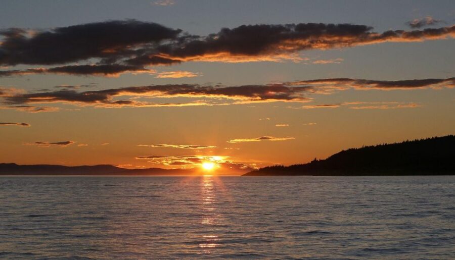 Victoria: Sunset Whale Watching Tour on Semi-Covered Boat