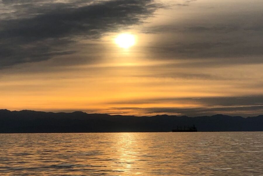 Victoria: Sunset Whale Watching Tour