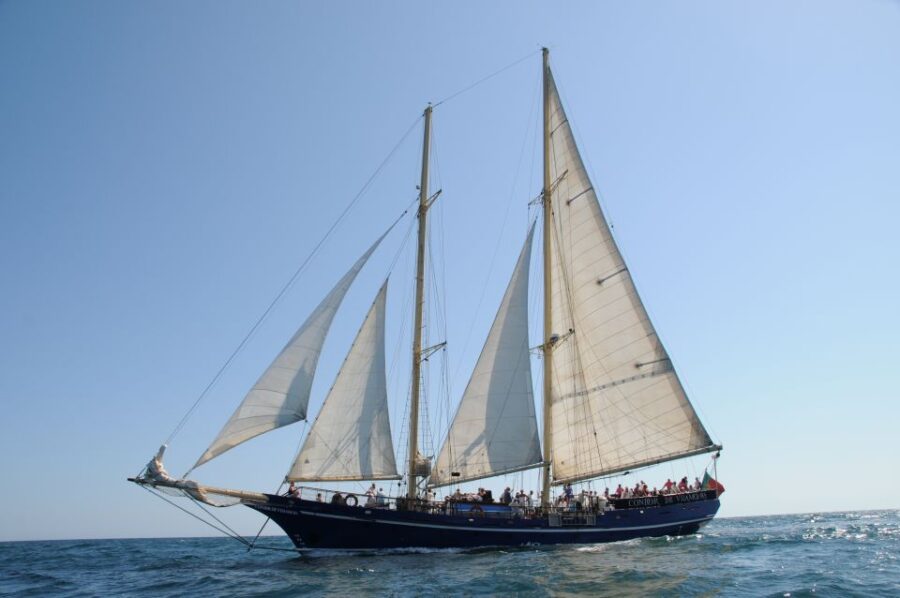 Vilamoura: Full-Day Algarve Cruise With BBQ Lunch on Beach - Overview and Pricing