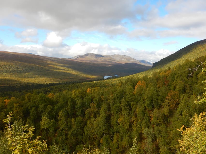 Vindelfjäll Nature Reserve: a Walk Through Reindeer Country - Overview and Pricing