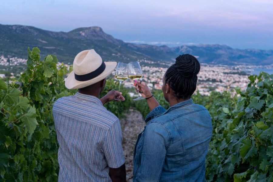 Vineyard Experience: Wine Tasting Near Split