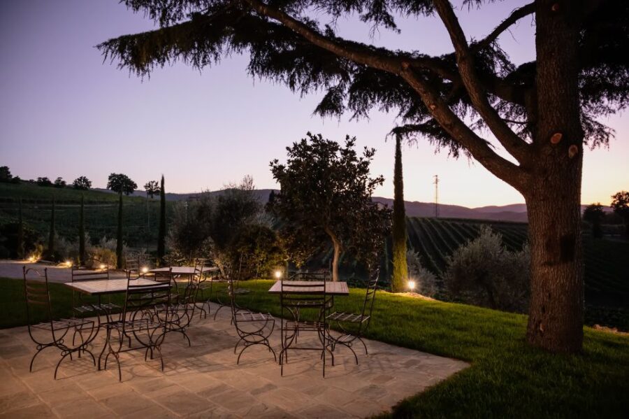 VIP Private Montalcino Wine Tasting in Paradiso With Dinner