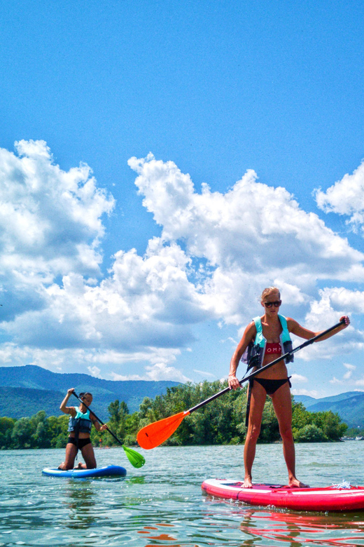 Visegrád: Danube River Guided Stand-Up Paddleboarding Tour - Tour Overview