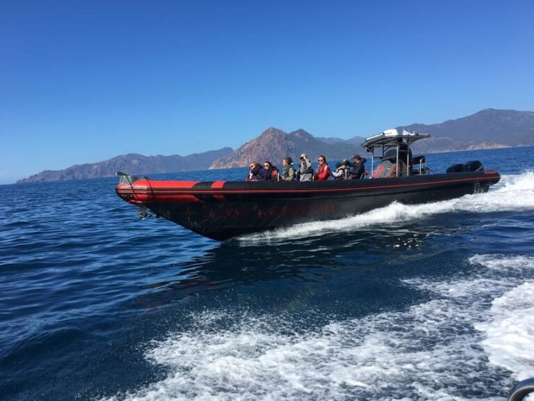 Visit Scandola Calanques Piana 2h Stop Girolata 12 Seat Boat