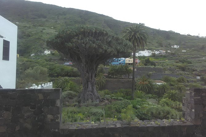 Volcano Teide National Park And North Of The Island VIP TOUR