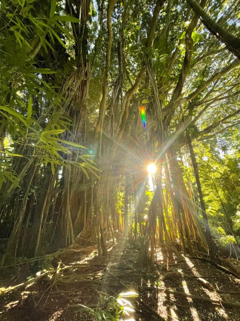 Waikiki: Hidden Hawaii Waterfall Hike and Beach Tour - Tour Overview