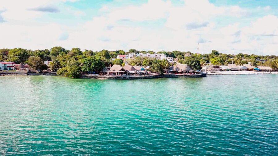 Walking Tour and Street Food in Calderitas Mexico - Booking Information