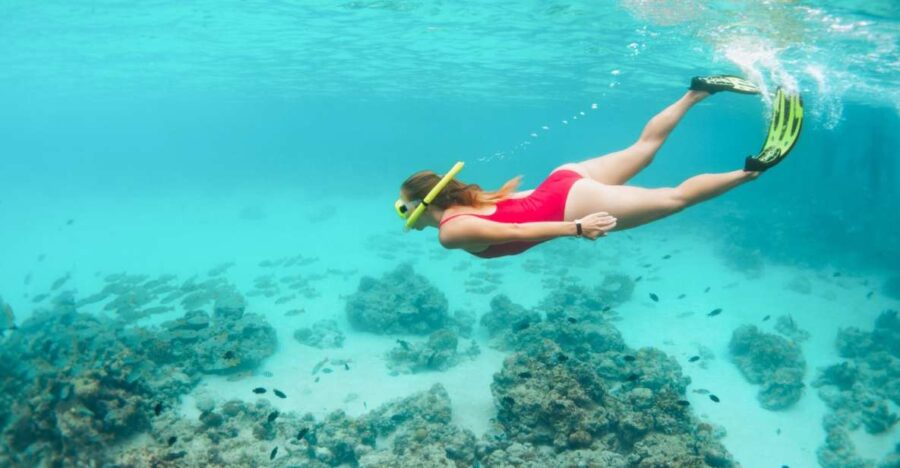 West Oahu: Turtles, Dolphins, and Snorkeling Tour With Lunch