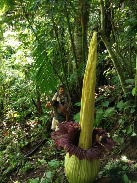 2 Best Tours In West Sumatra