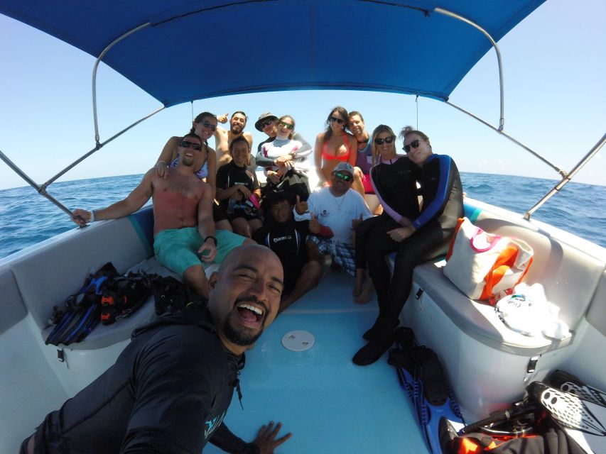 Whale Shark Tour From Rivera Maya. - Tour Overview and Pricing
