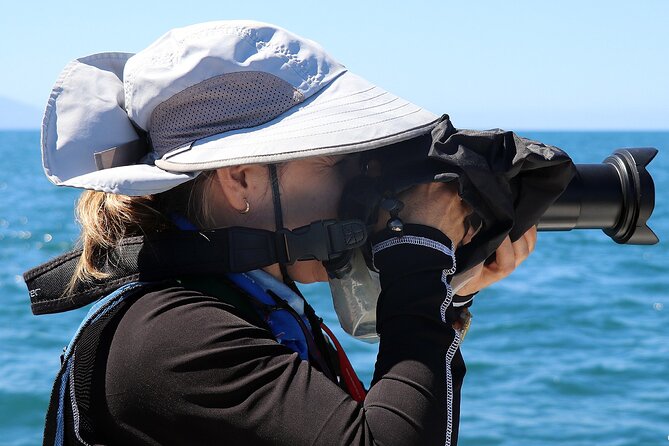 Whale Watching Tour Leaded by Biologist at 1 Pm
