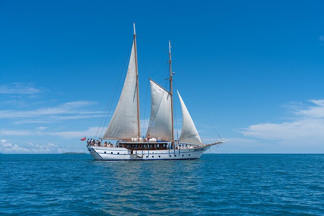 Whales Tale Day Cruise From Port Denarau