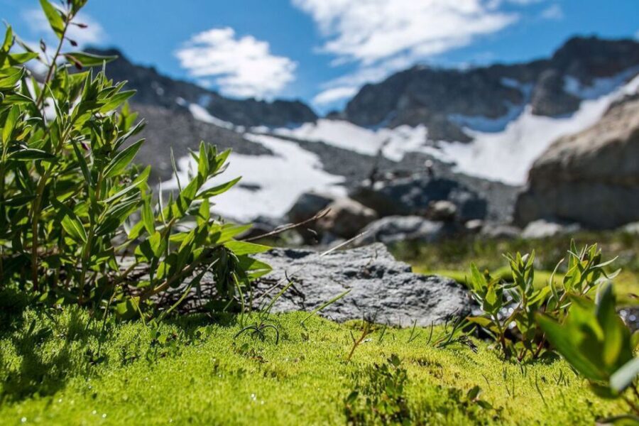 Whistler: Guided Glacier Discovery Hike