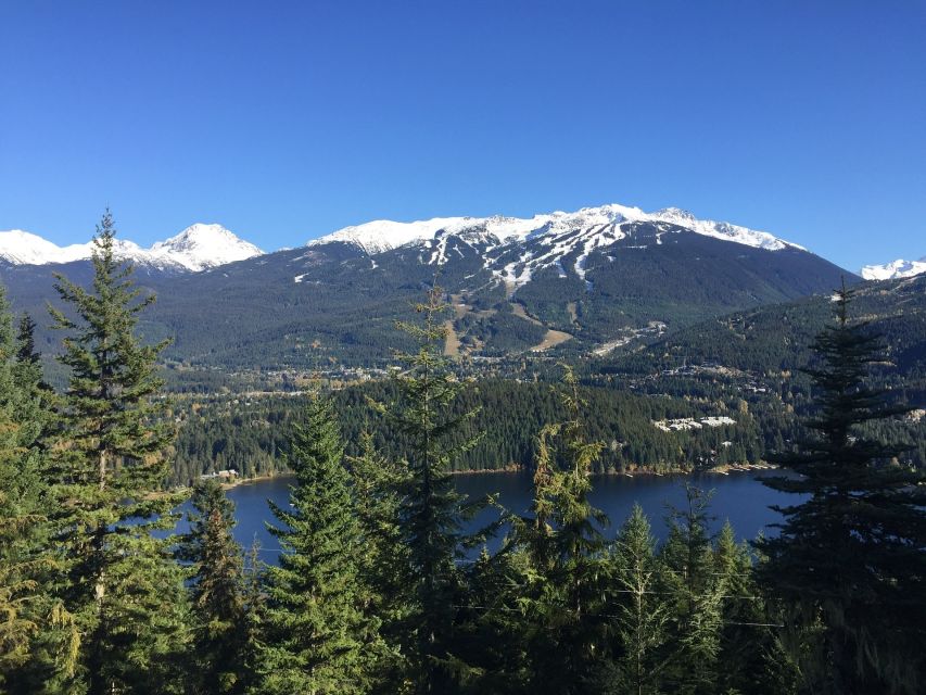 Whistler: Scenic Helicopter Flight