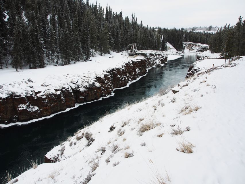 22 Best Tours In Whitehorse