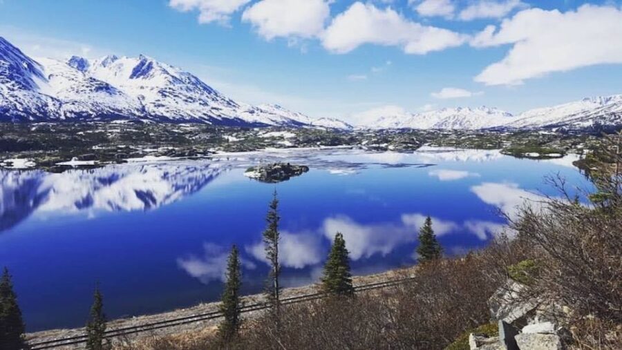 Wild Adventure Yukon + Summit Tour