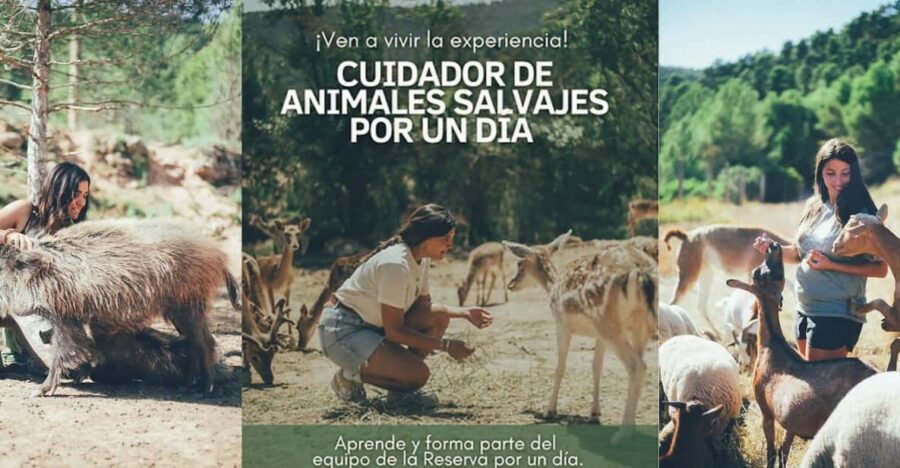 Wild Forest Reserve Foundation – Visit