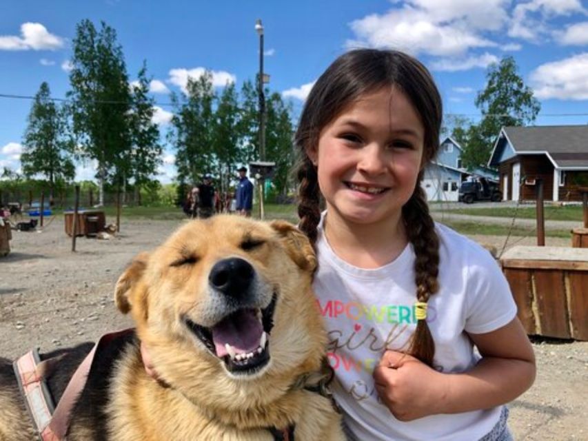 Willow: Summer Dog Sledding Ride in Alaska