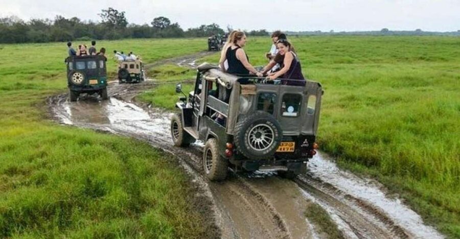 Wilpattu National Park With Safari Jeep & Entrance Ticket