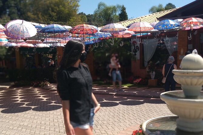 Wine Tour in São Roque by Car - Tour With Local Guides