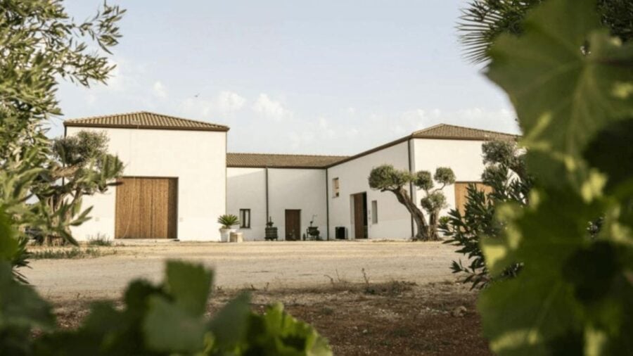 Winery & Pizza Cooking Class With Transfer From Palermo - Activity Overview