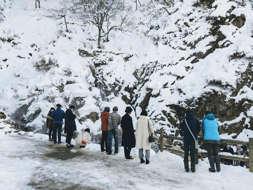 Winter Only From Nozawa Onsen: Snow Monkeys, Zenko-ji & Sake