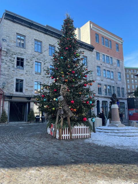 Winter Sport and Fun Tour in Quebec City - Tour Overview and Pricing
