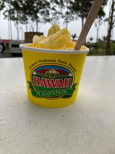 World Famous Dole Plantation & North Shore Island Tour!