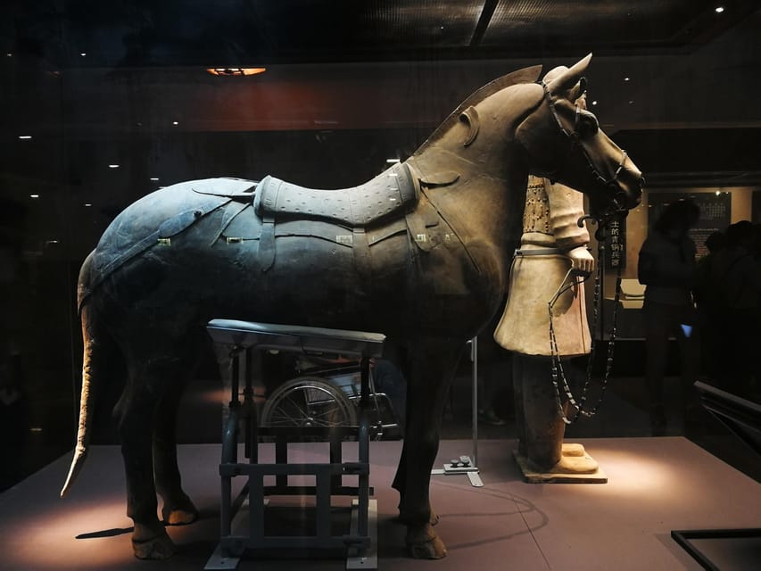 Xian: Terracotta Army Walking Tour or Ticket Only Option