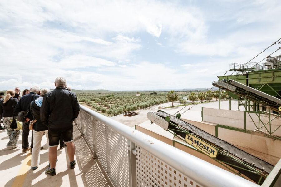 XXI Century Olive Oil Mill Tour
