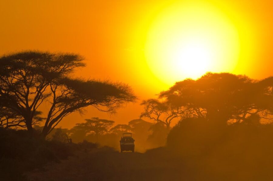 Yala National Park: Leopard Safari Full Day Tour With Lunch