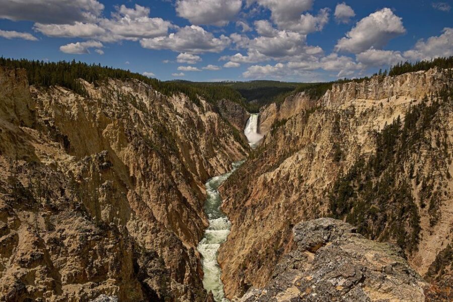 Yellowstone: Bespoke Photo Tour – Summer