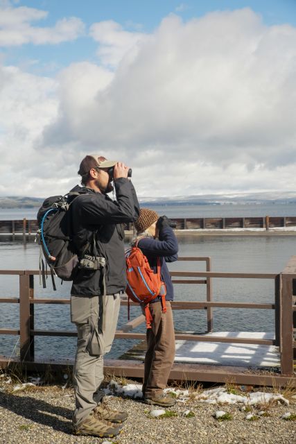 Yellowstone: Winter Wildlife & Snowshoe Adventure - Tour Overview