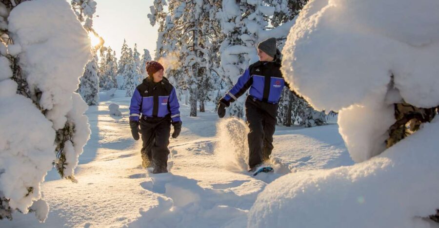 Ylläs: Forest Hike With Snowshoes and Campfire Snacks
