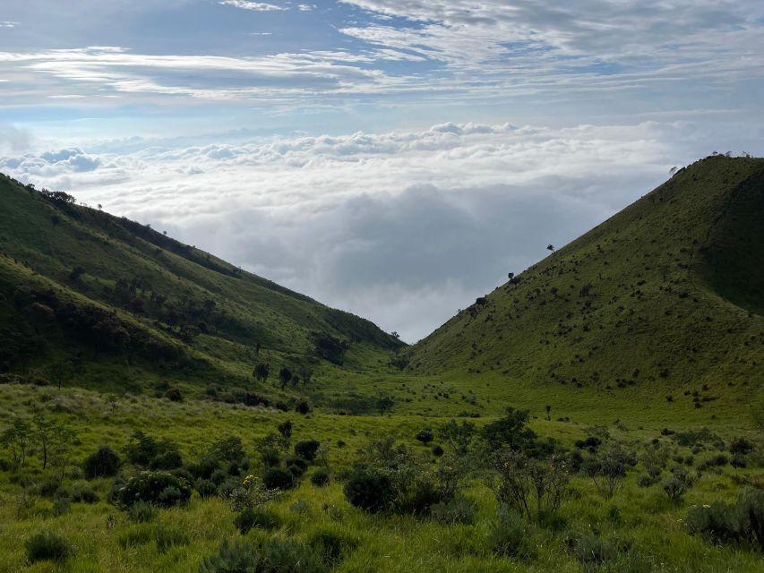Yogyakarta: Mt. Merbabu 1 Day Hike / Camping Options - Overview and Pricing