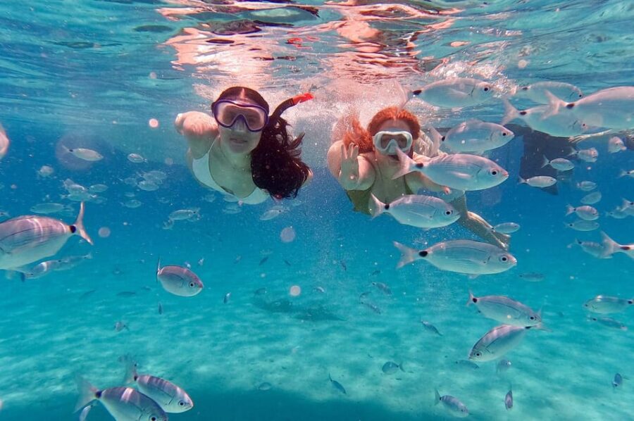 Zadar: Dugi Otok Island Discovery Day Trip With Snorkeling - Tour Overview