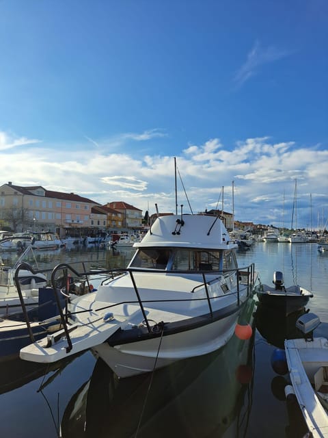 Zadar: Private Boat Tour to Croation Islands – Half Day