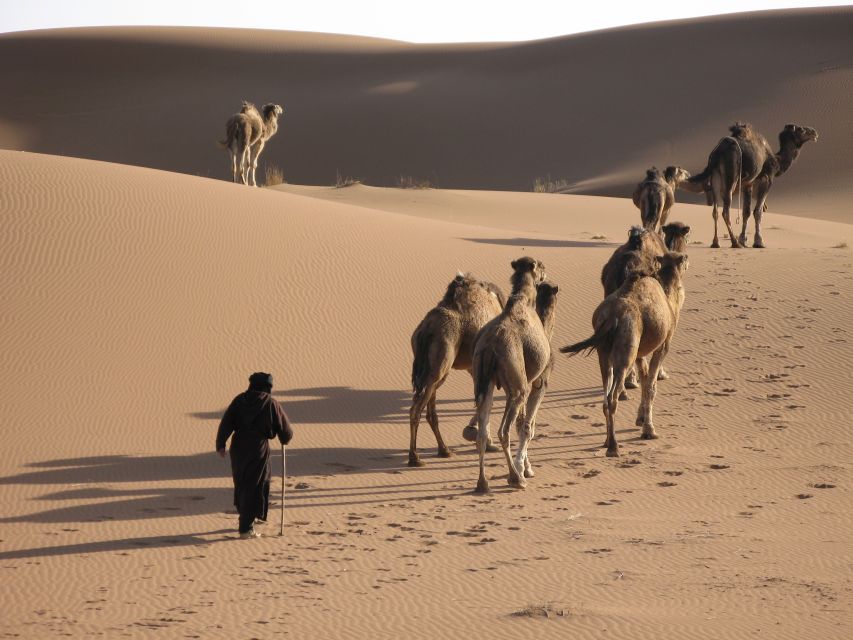 Zagora: Airport Private Transfer - Service Overview