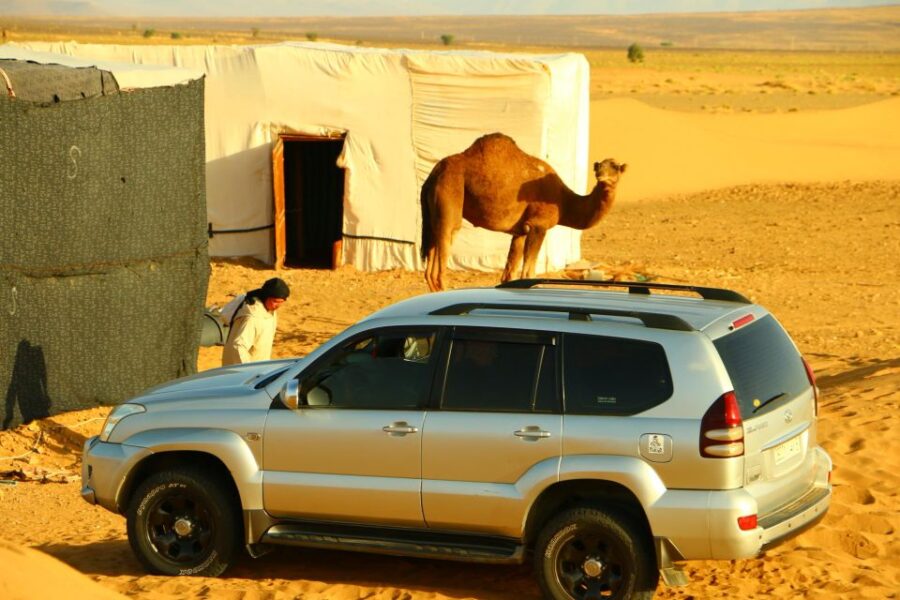 Zagora: Overnight in Luxury Desert Camp With Camel Ride,