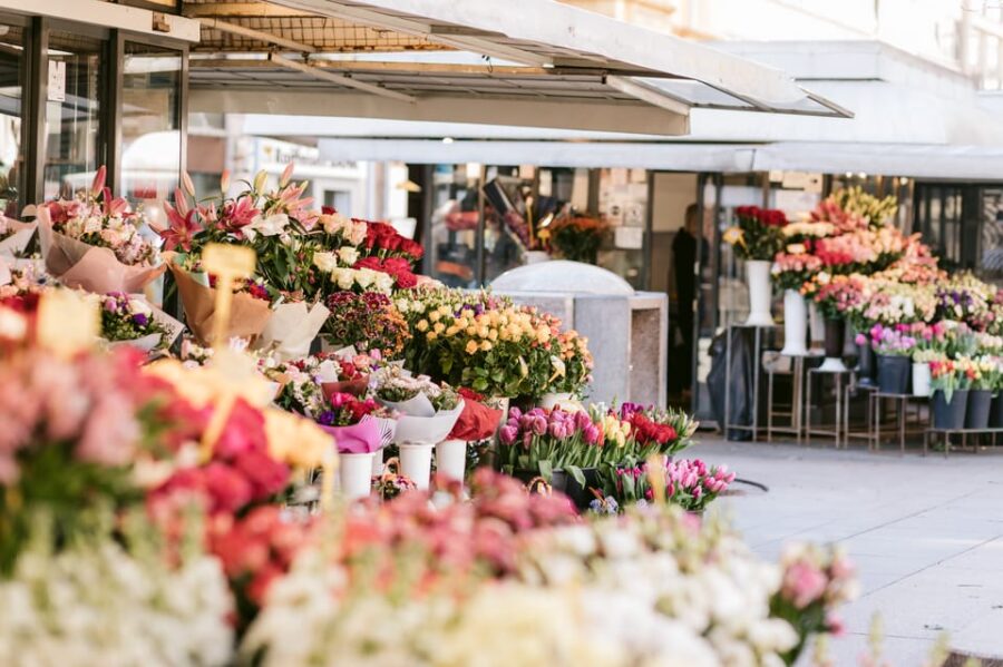 Zagreb: Most Instagrammable Photo Spots Guided Tour