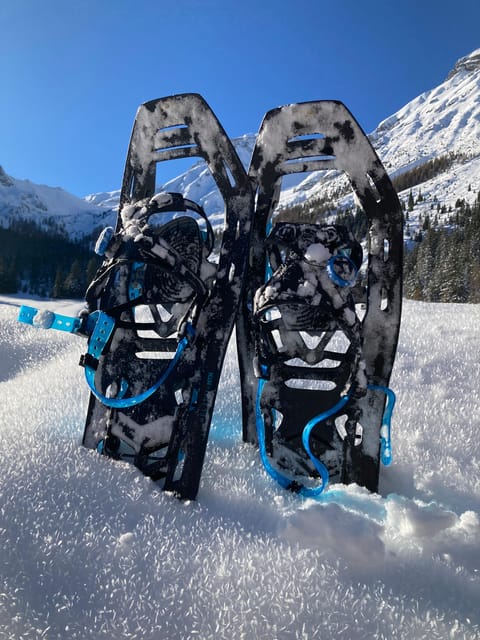Zugspitze: Snow Shoe Tour and Instruction in Ehrwald